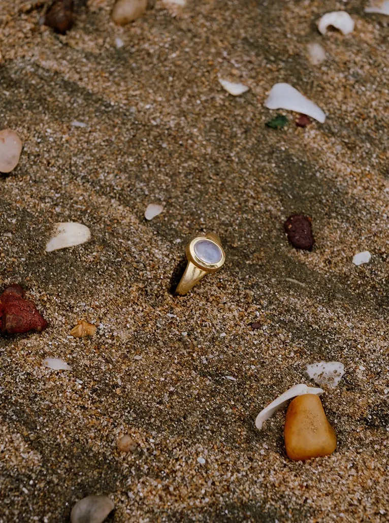 Glow Moonstone Signet Ring | 18kt Solid Gold