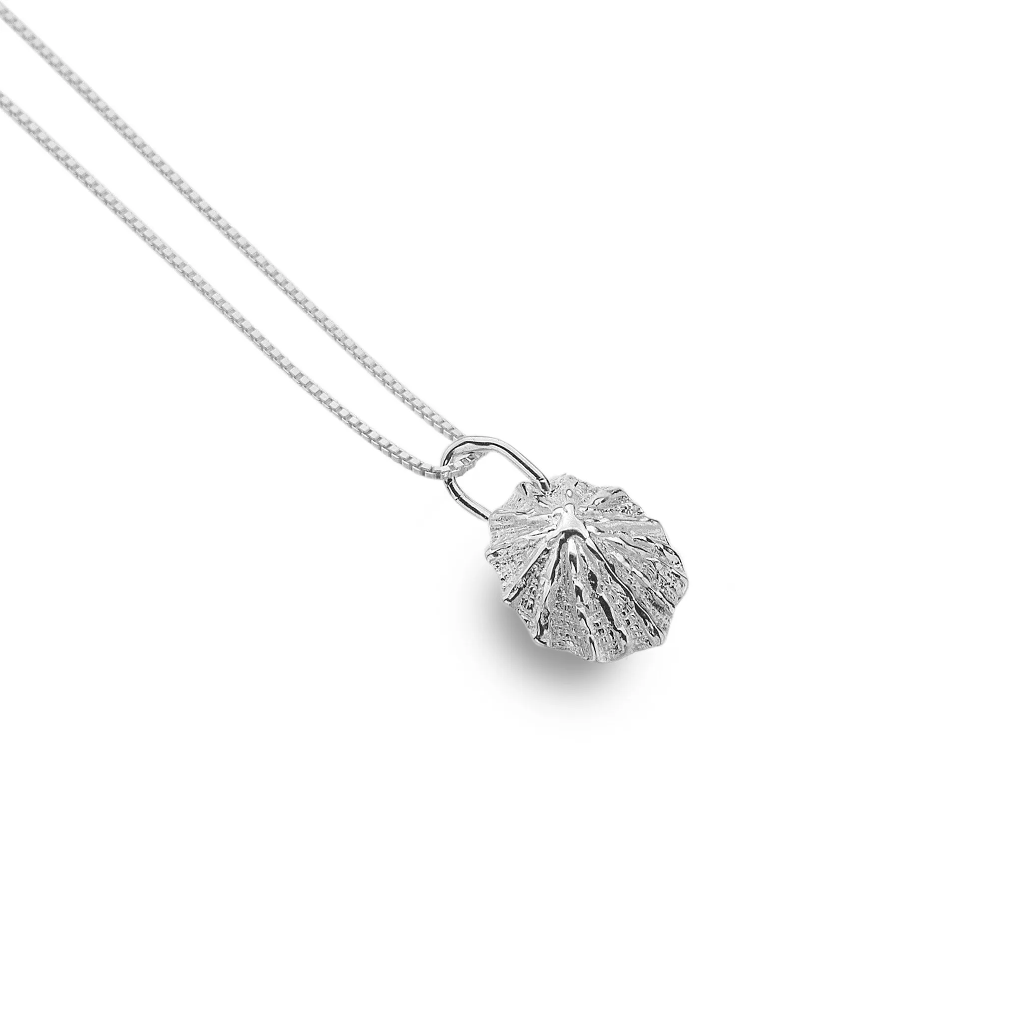 Limpet Shell Pendant