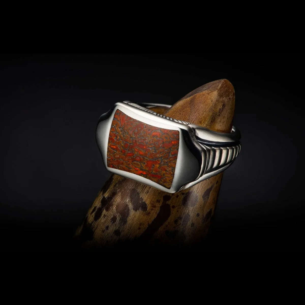 Men's Sleek Dinosaur Bone Ring - Ring 8 DB